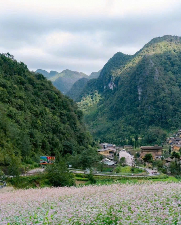 Lễ hội hoa Tam giác mạch lần thứ XI