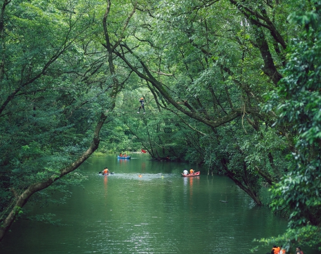Động Phong Nha - Công viên Ozo Treetop Park