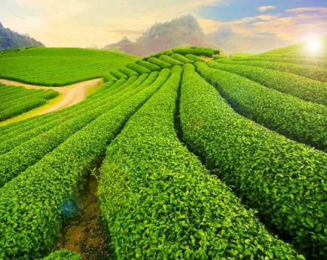 QUẢNG BÌNH – HÀ NỘI – MỘC CHÂU – SƠN LA –  ĐIỆN BIÊN – SAPA