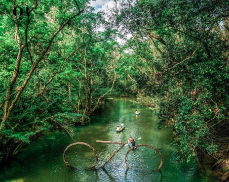 Động Phong Nha - Công viên Ozo Treetop Park